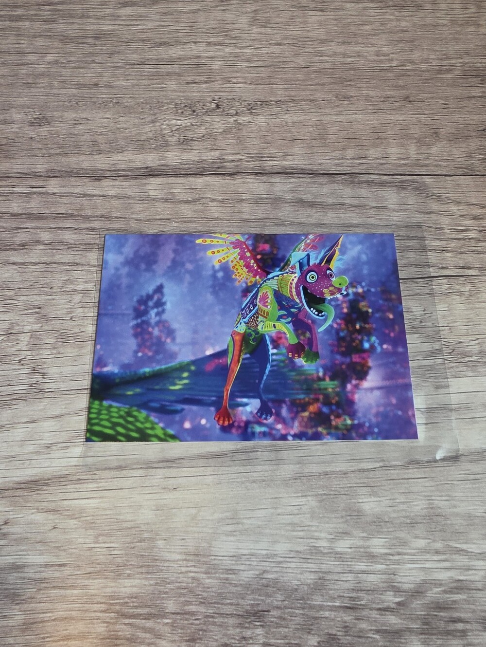 ✨️BUY 3 FOR $22 Dante, Coco, 2017 Postcard